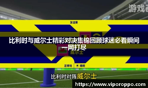 比利时与威尔士精彩对决集锦回顾球迷必看瞬间一网打尽
